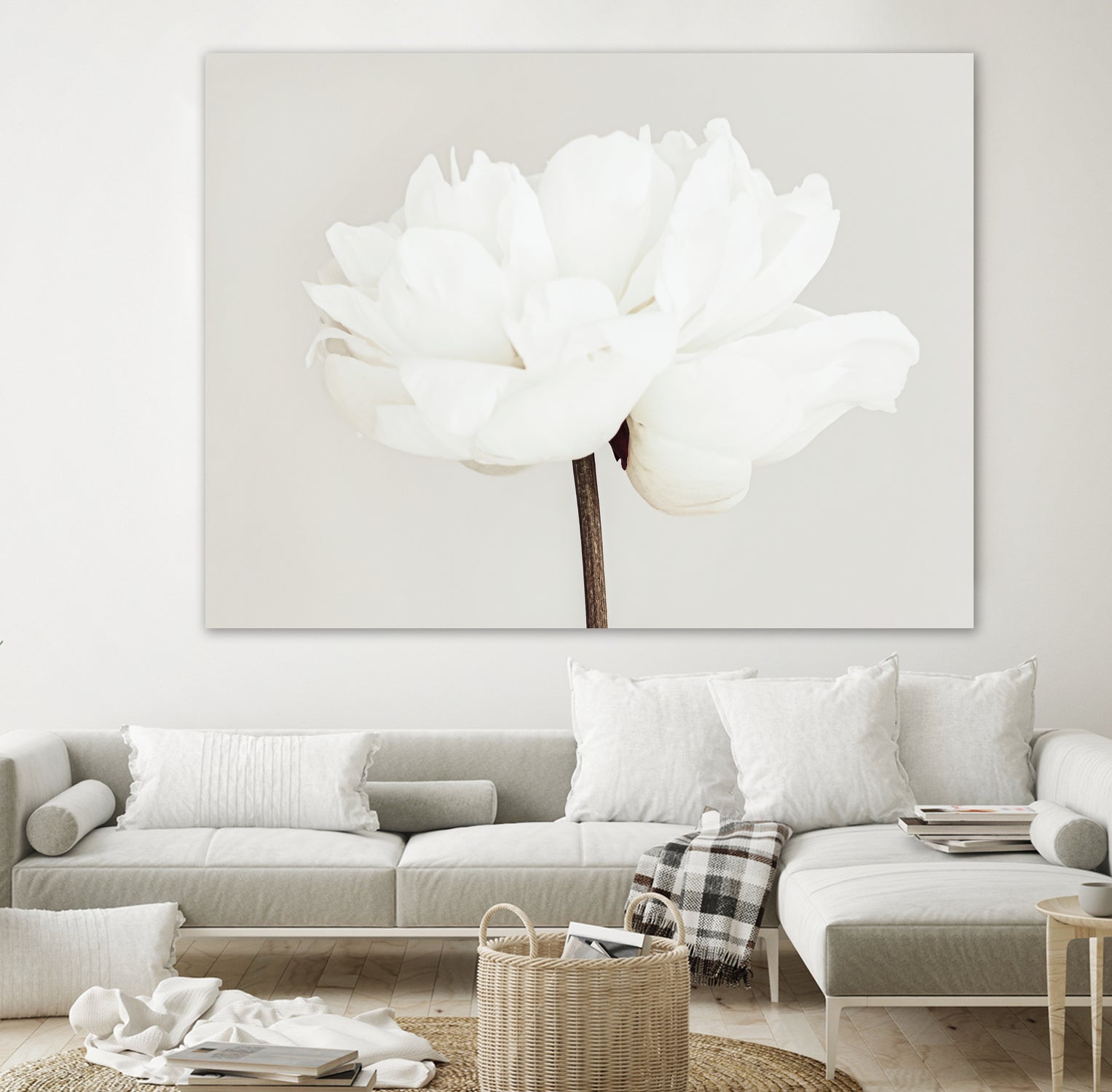 Peony 11 by Pictufy Studio III on GIANT ART - photography flower