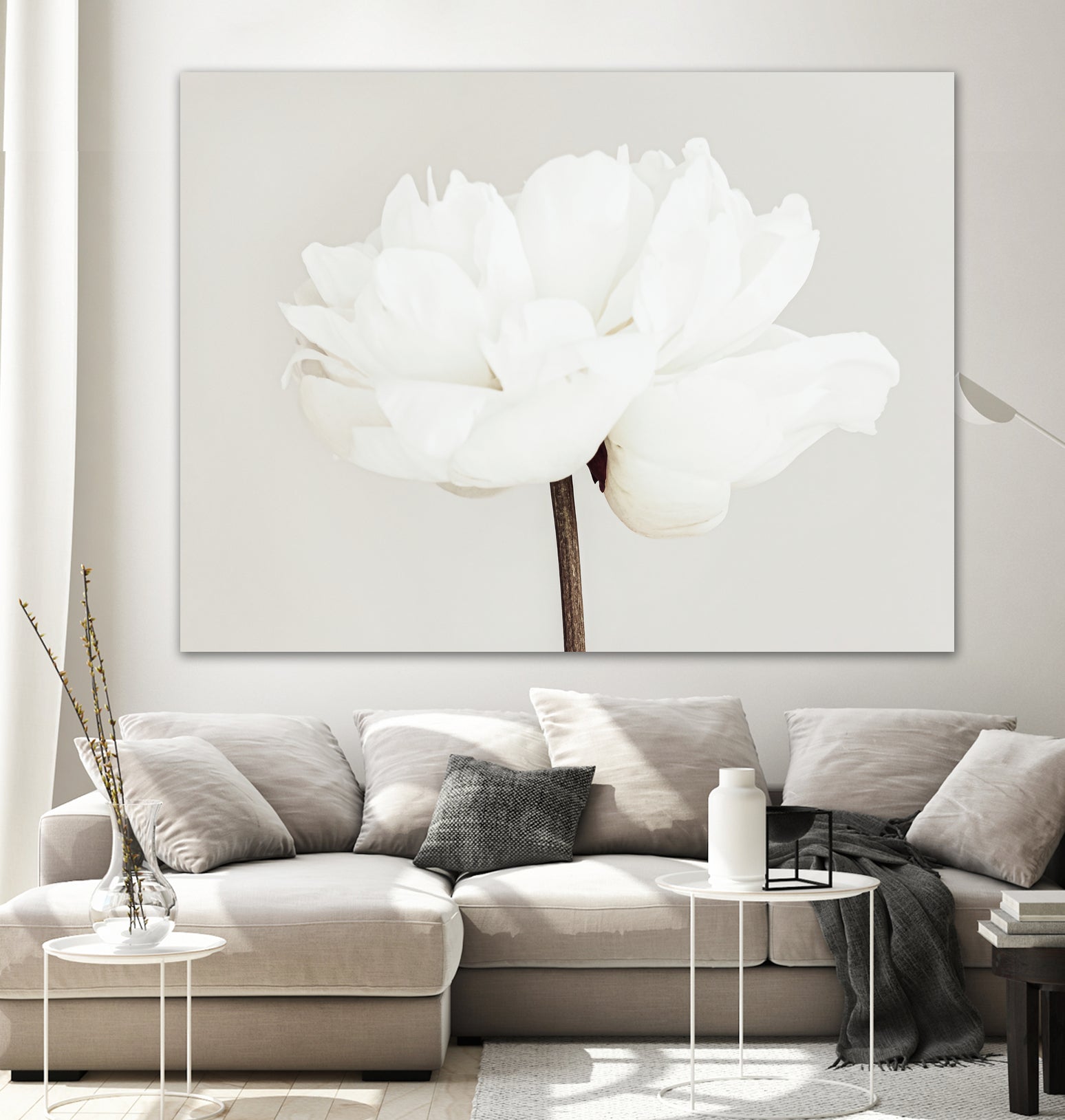 Peony 11 by Pictufy Studio III on GIANT ART - photography flower
