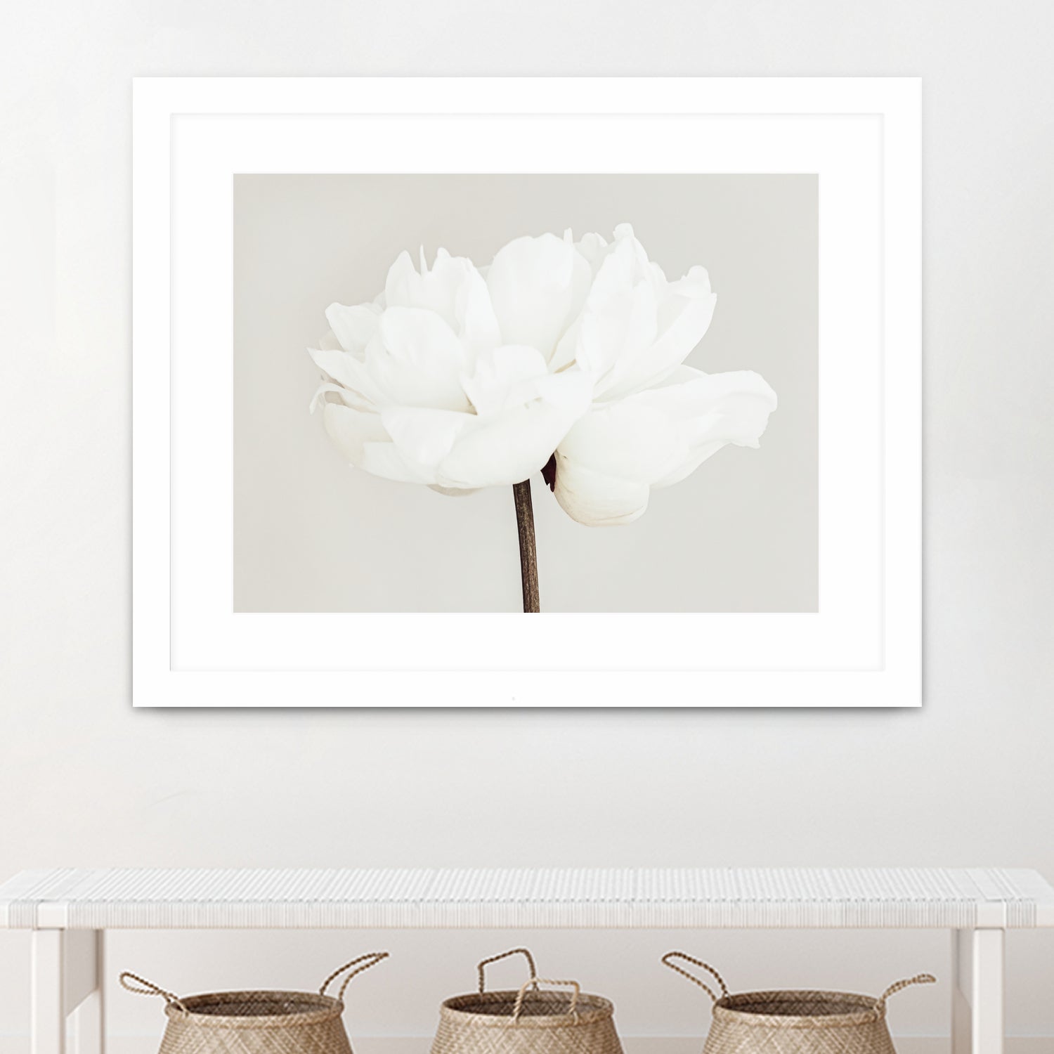 Peony 11 by Pictufy Studio III on GIANT ART - photography flower