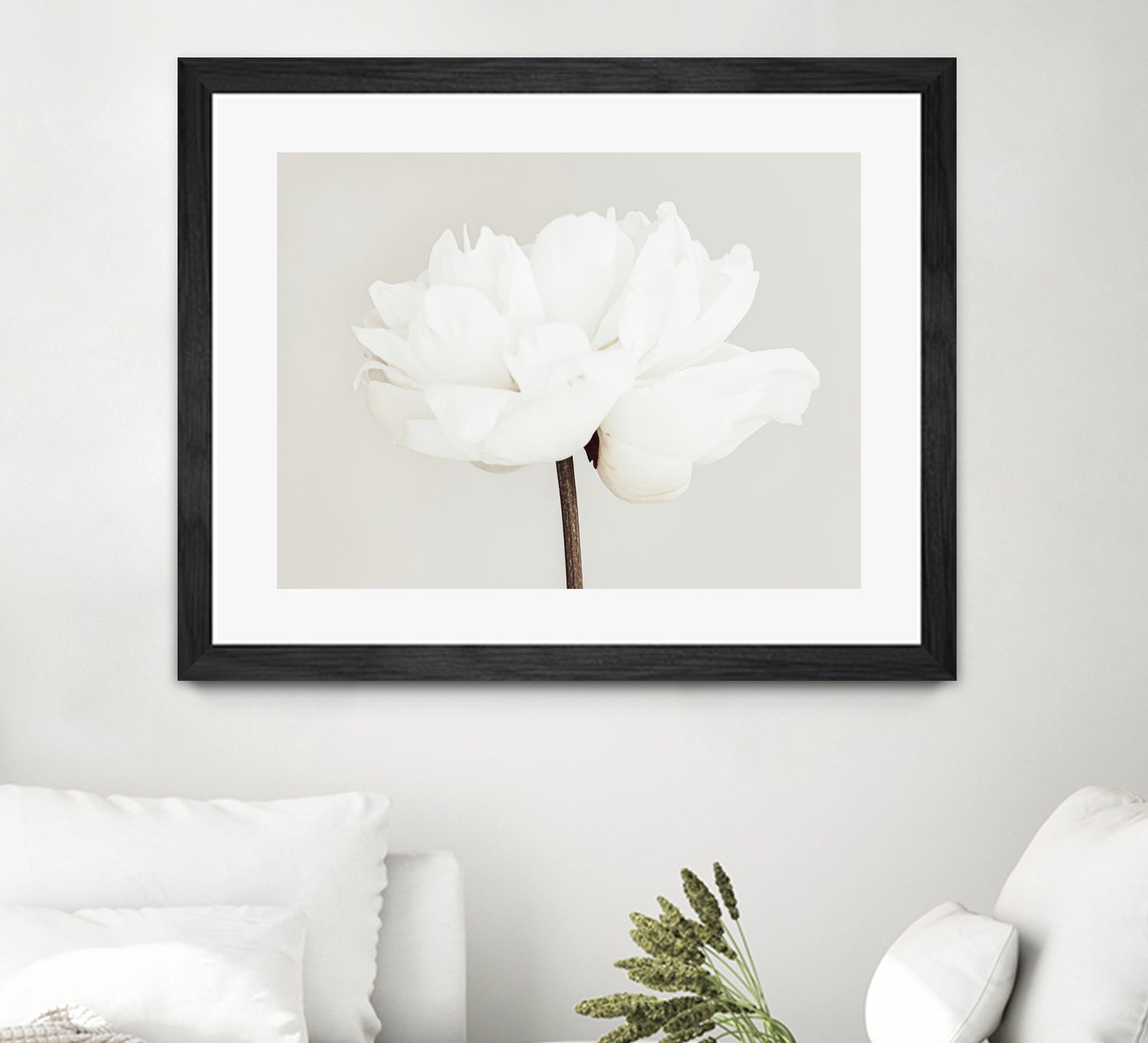 Peony 11 by Pictufy Studio III on GIANT ART - photography flower