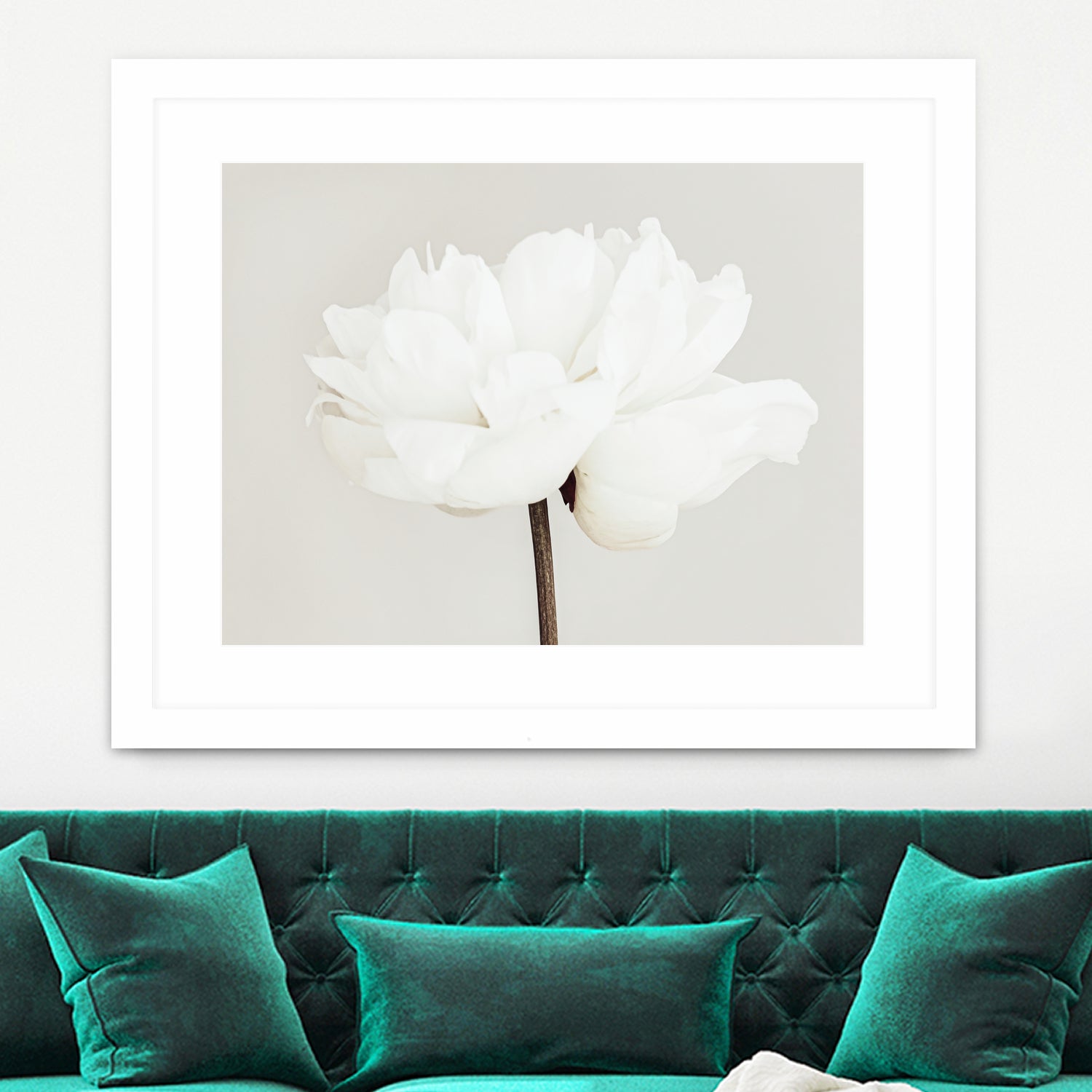 Peony 11 by Pictufy Studio III on GIANT ART - photography flower