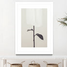 Peony 18 by Pictufy Studio III on GIANT ART - creative edit flower