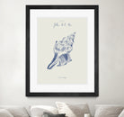 Filles de la mer n.2 - La conchiglia by Giulia Mora on GIANT ART - blue costal  mora