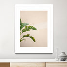 Cannes Banana Plant by Raisa on GIANT ART - photography banana