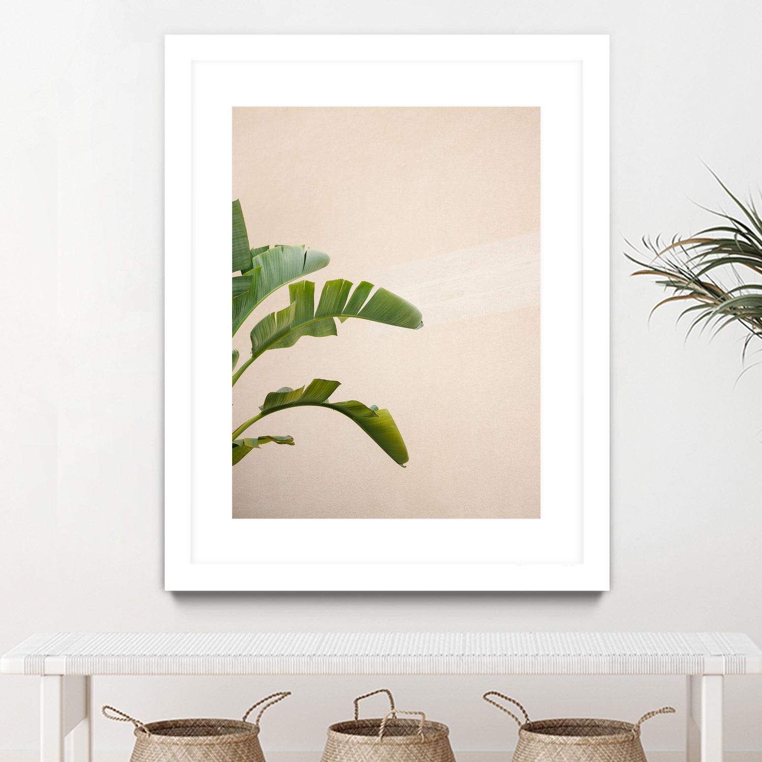 Cannes Banana Plant by Raisa on GIANT ART - photography banana