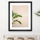 Cannes Banana Plant by Raisa on GIANT ART - photography banana