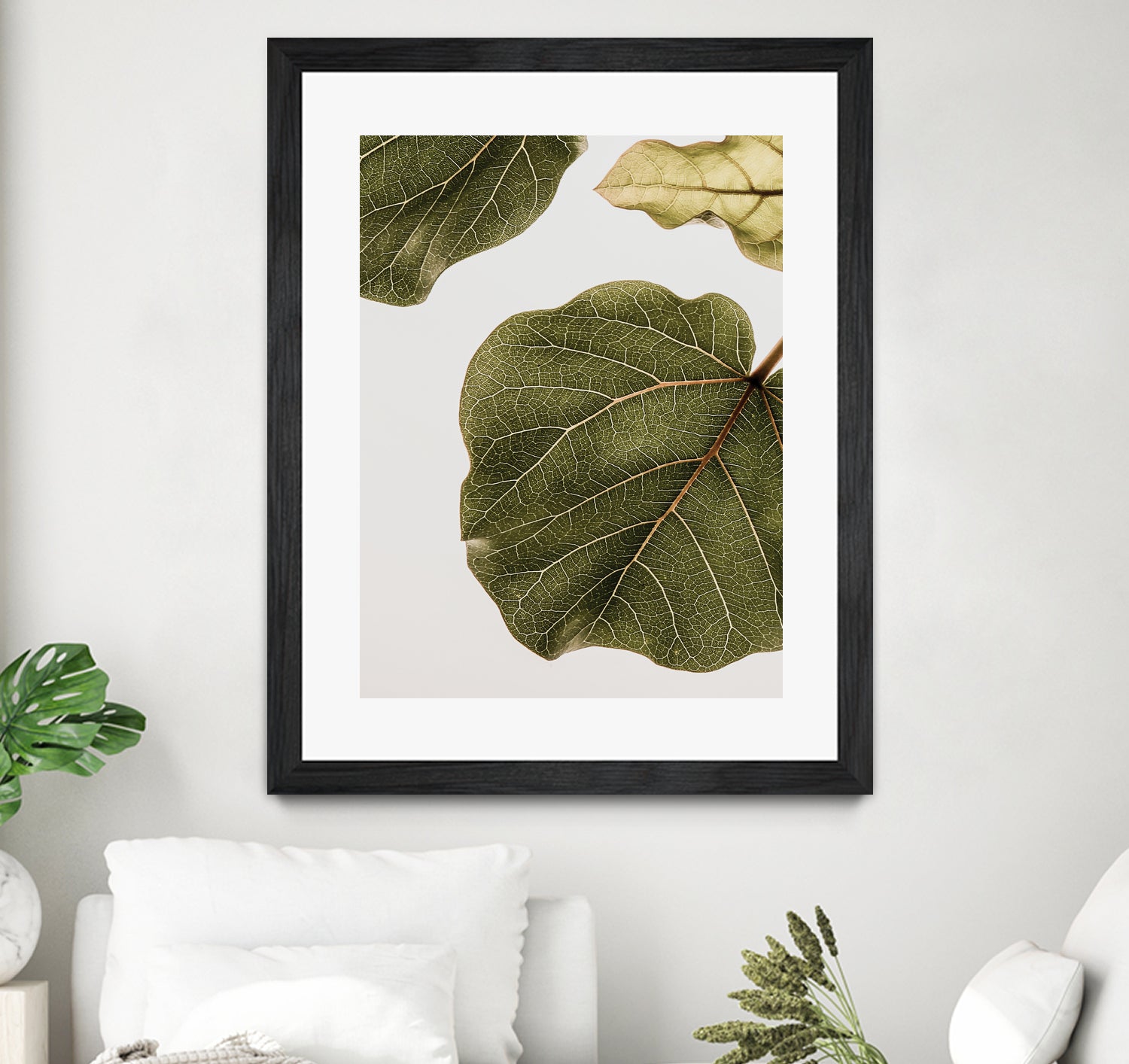 Abutifolia No2 by Shot on GIANT ART - photography still life