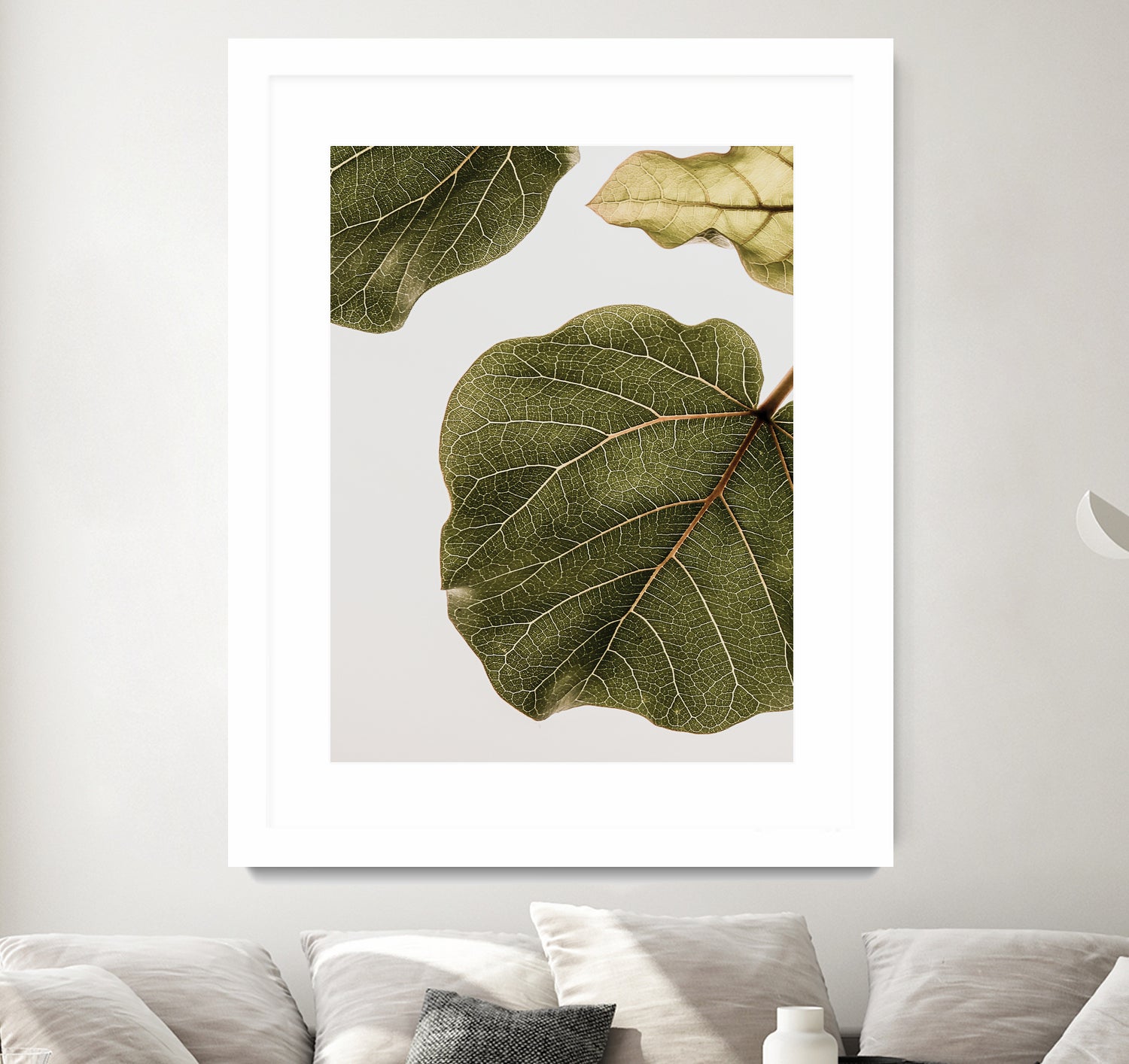 Abutifolia No2 by Shot on GIANT ART - photography still life