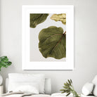 Abutifolia No2 by Shot on GIANT ART - photography still life