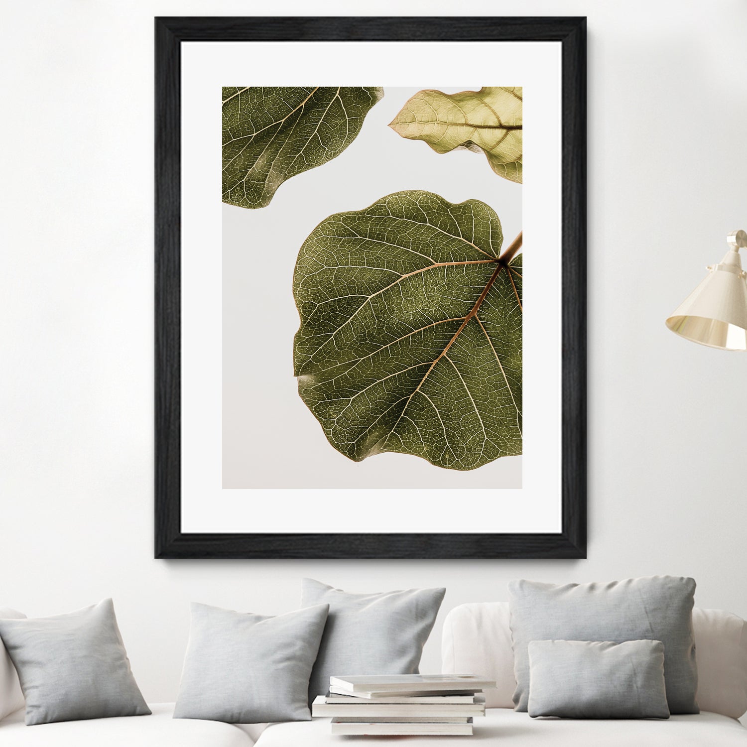 Abutifolia No2 by Shot on GIANT ART - photography still life