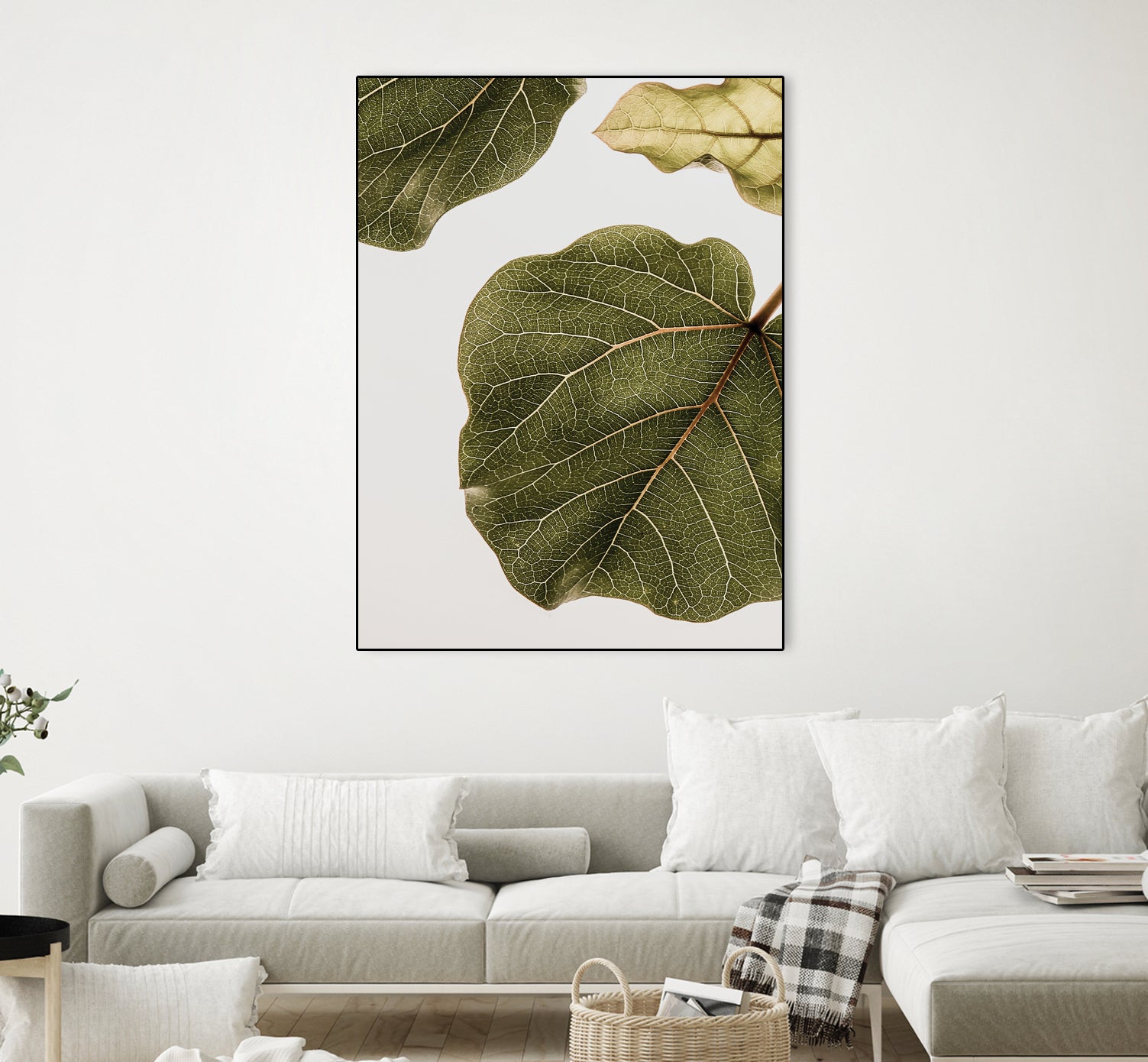Abutifolia No2 by Shot on GIANT ART - photography still life