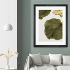 Abutifolia No2 by Shot on GIANT ART - photography still life