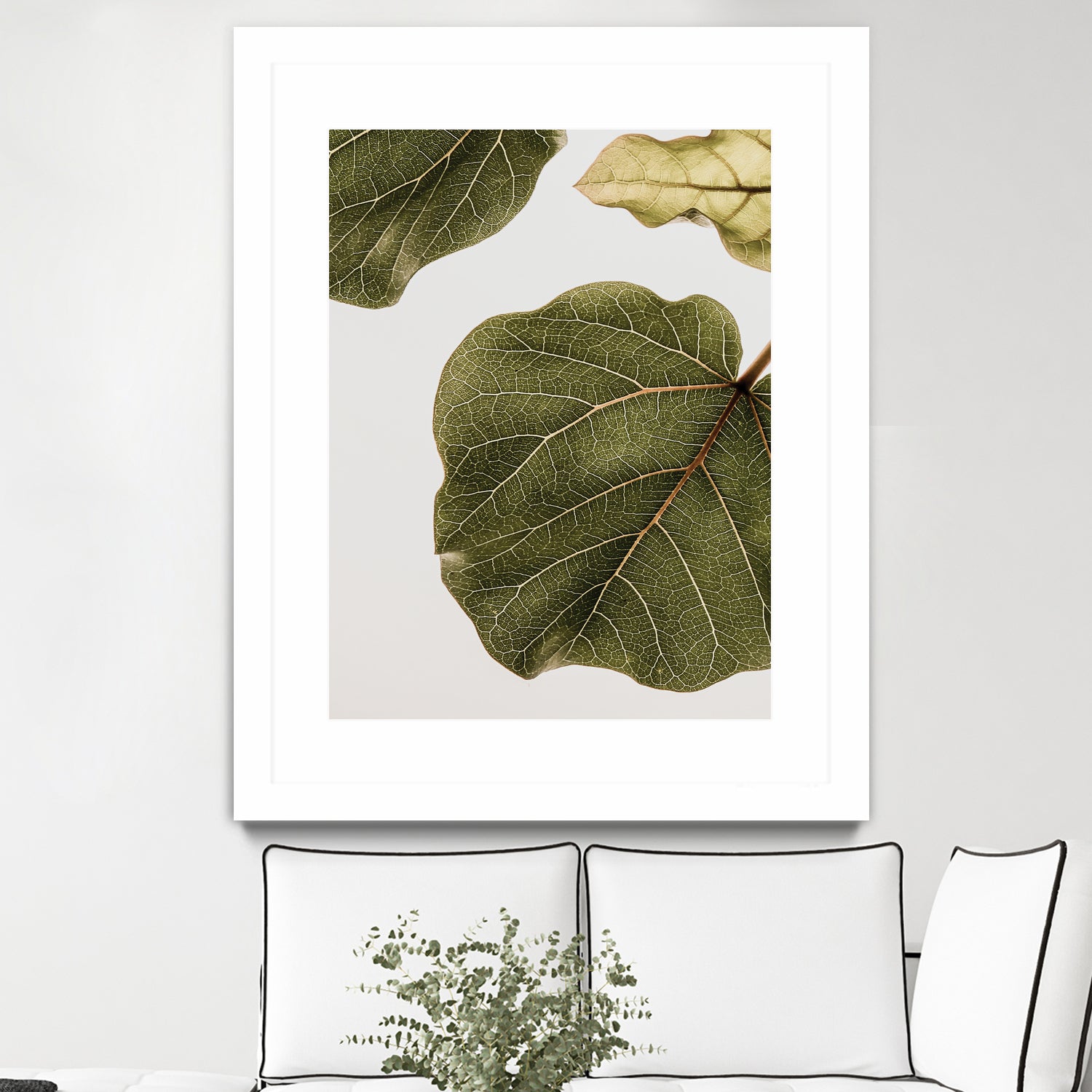 Abutifolia No2 by Shot on GIANT ART - photography still life