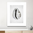 Spring Tide by Shot by Clint on GIANT ART - macro seashell art