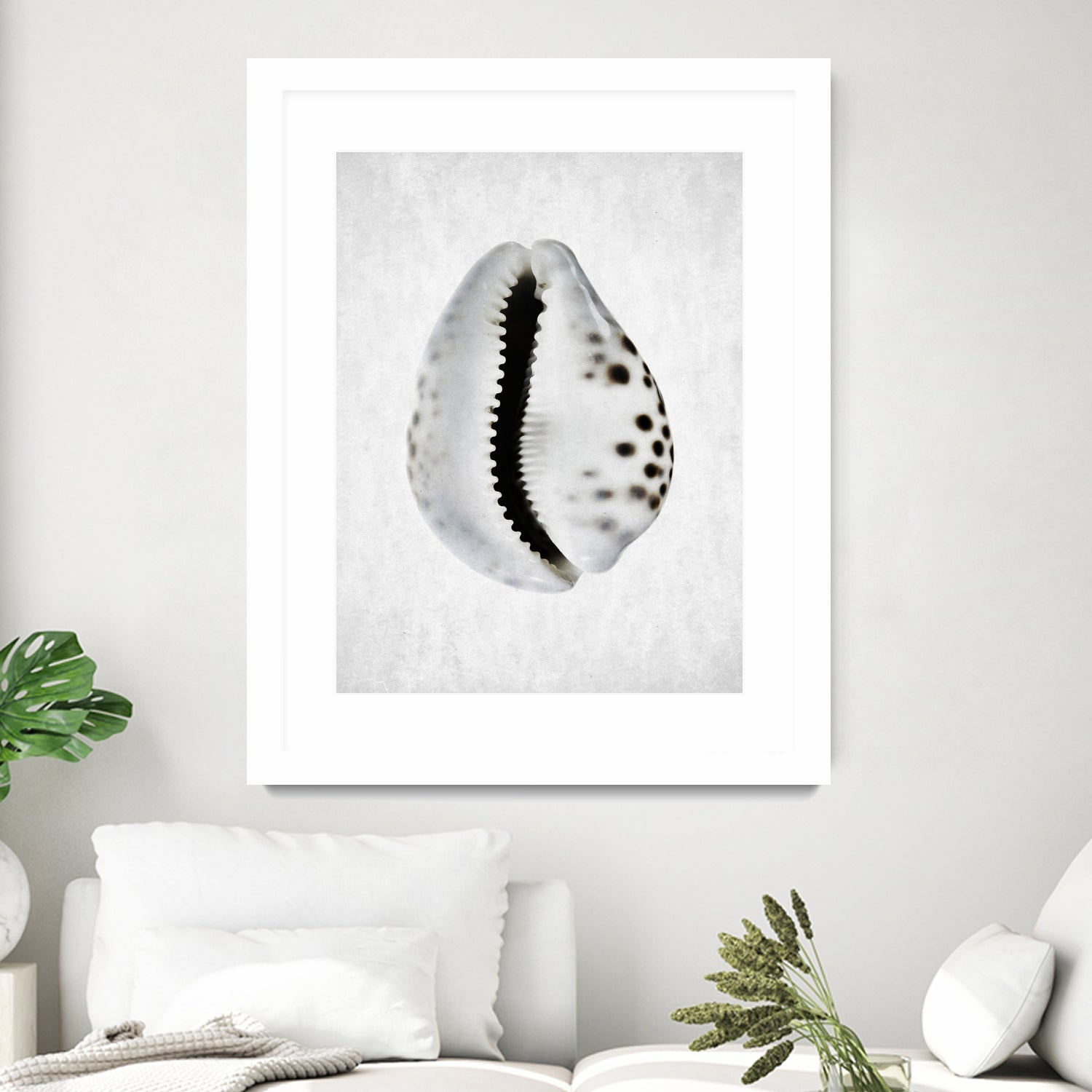 Spring Tide by Shot by Clint on GIANT ART - macro seashell art