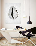 Spring Tide by Shot by Clint on GIANT ART - macro seashell art