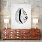 Spring Tide by Shot by Clint on GIANT ART - macro seashell art