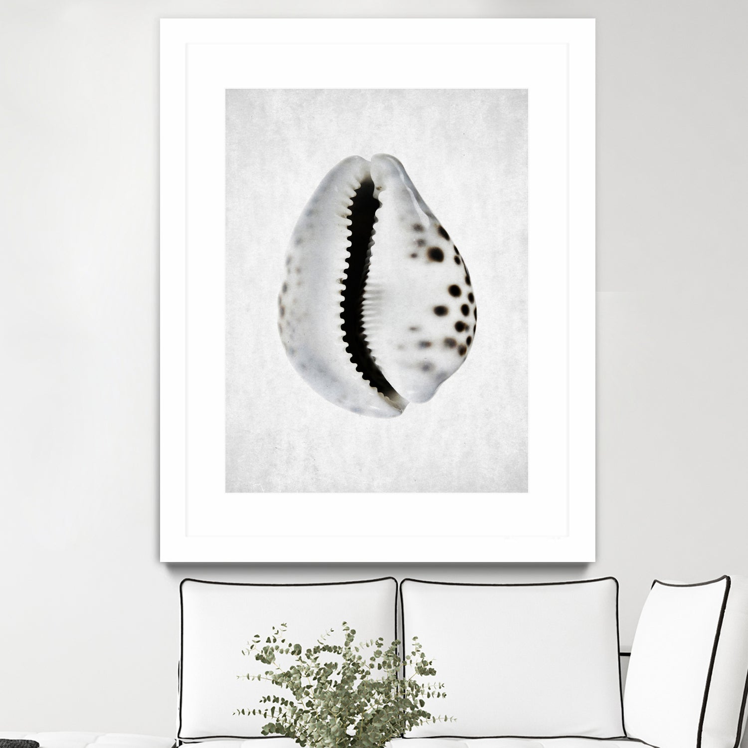 Spring Tide by Shot by Clint on GIANT ART - macro seashell art