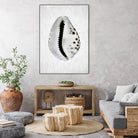 Spring Tide by Shot by Clint on GIANT ART - macro seashell art