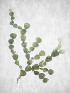 This Minimalist Artwork by Shot by Clint on GIANT ART - landscape botanical art