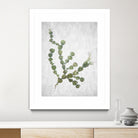 This Minimalist Artwork by Shot by Clint on GIANT ART - landscape botanical art