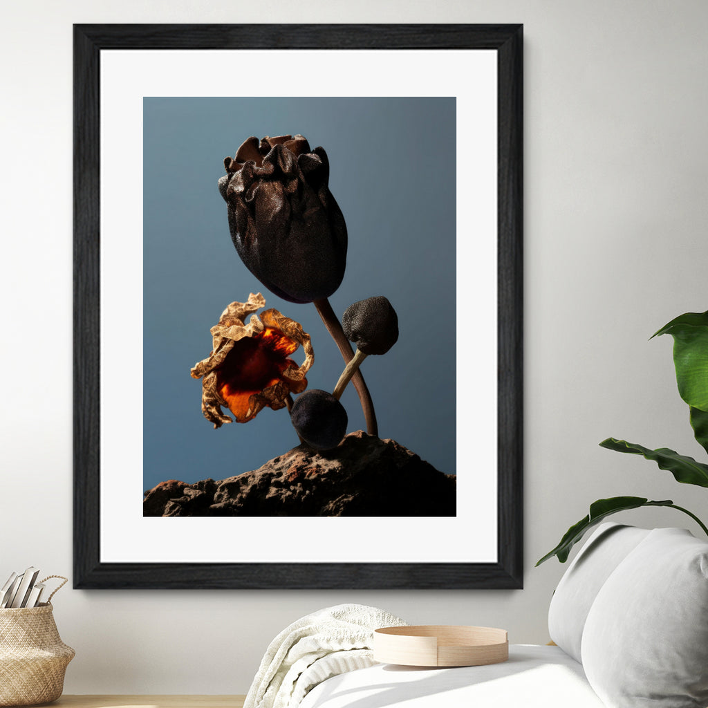 Still Life Flowers No2 by Minorstep on GIANT ART - flowers and plants flowers and plants