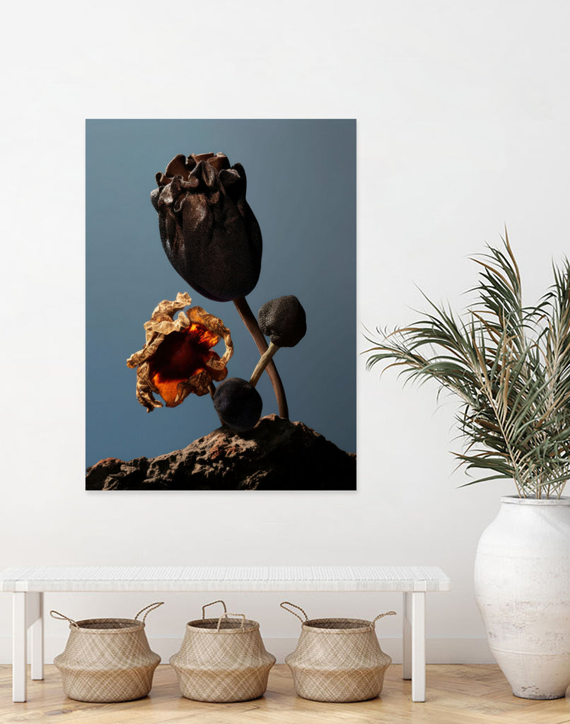 Still Life Flowers No2 by Minorstep on GIANT ART - flowers and plants flowers and plants