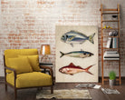 Trio of Ocean Life by Emel Tunaboylu on GIANT ART - animals vintage fish illustration