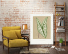 Green Caladium Belleymii Leaf Illustration by Les Plantes a on GIANT ART - flowers and plants vintage botanical