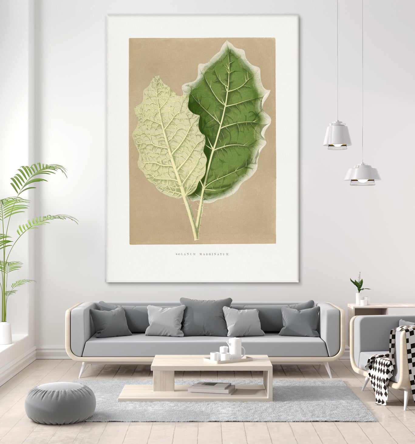 Green Solanum Marginatum Leaf Illustration by Les Plantes a on GIANT ART - flowers and plants vintage botanical