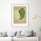 Green Solanum Marginatum Leaf Illustration by Les Plantes a on GIANT ART - flowers and plants vintage botanical