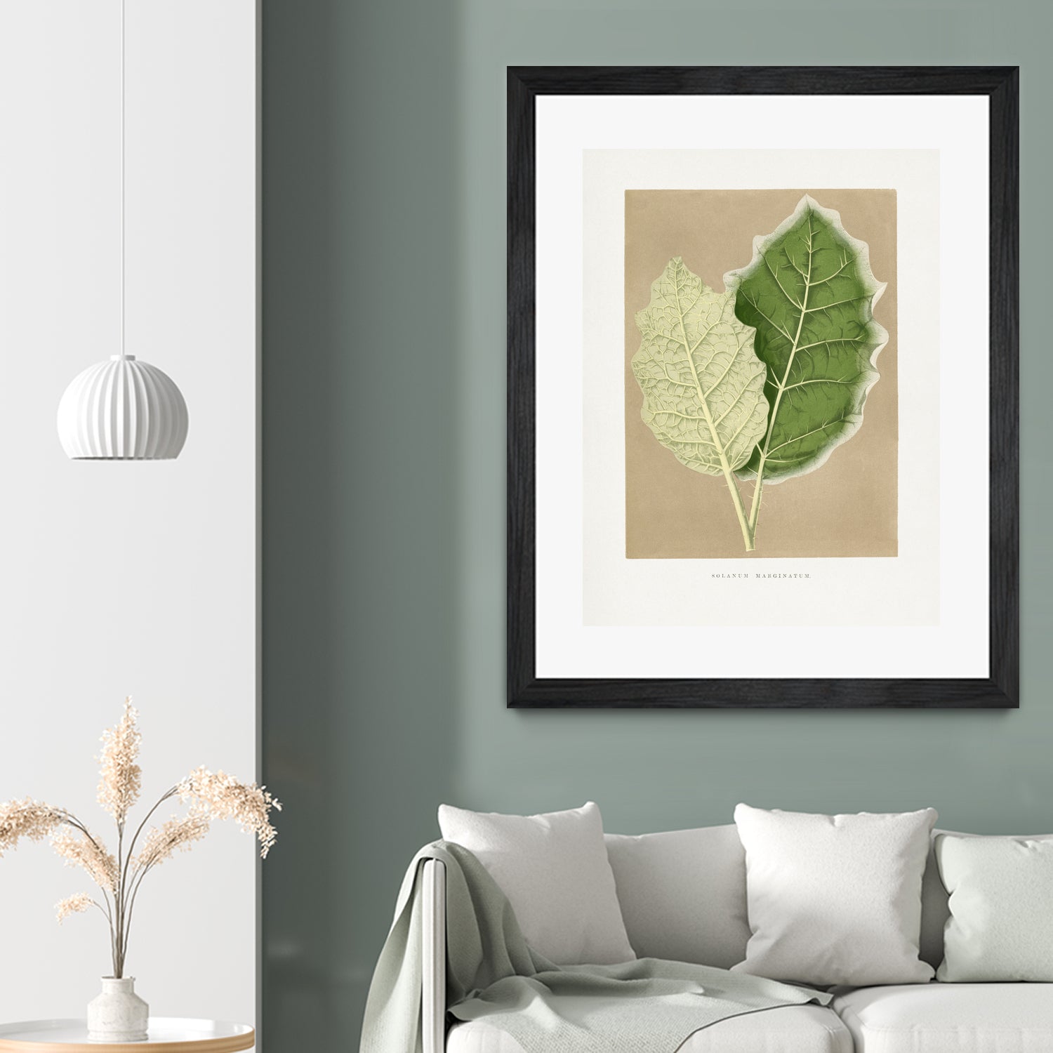 Green Solanum Marginatum Leaf Illustration by Les Plantes a on GIANT ART - flowers and plants vintage botanical