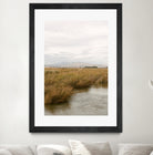 Marshland No.2 by Crystal Lynn Collins on GIANT ART - landscape harmony