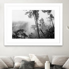 Trees in misty forest by Photolovers on GIANT ART - photograhy forest