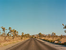 Joshua Tree Road by Bethany Young on GIANT ART - landscape usa