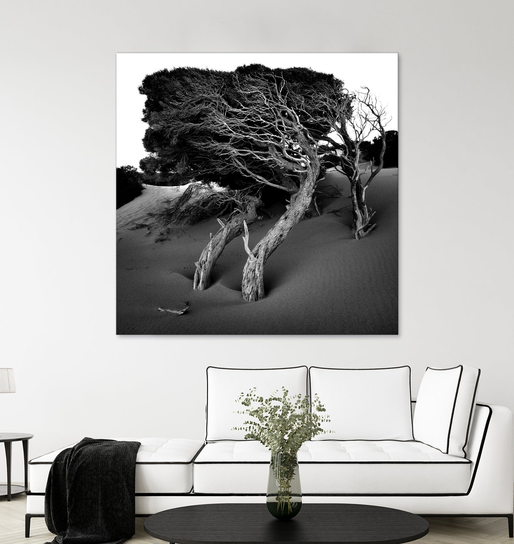 Windswept Tree by Injidup Western Australia on GIANT ART - black and white mark