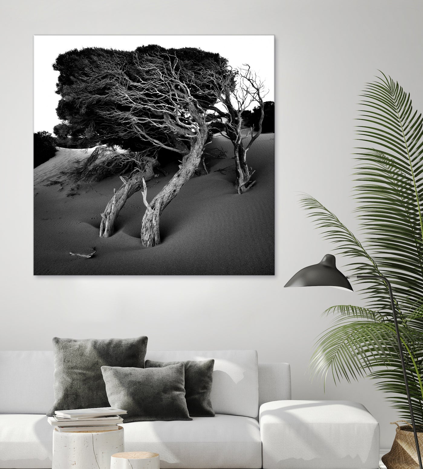 Windswept Tree by Injidup Western Australia on GIANT ART - black and white mark