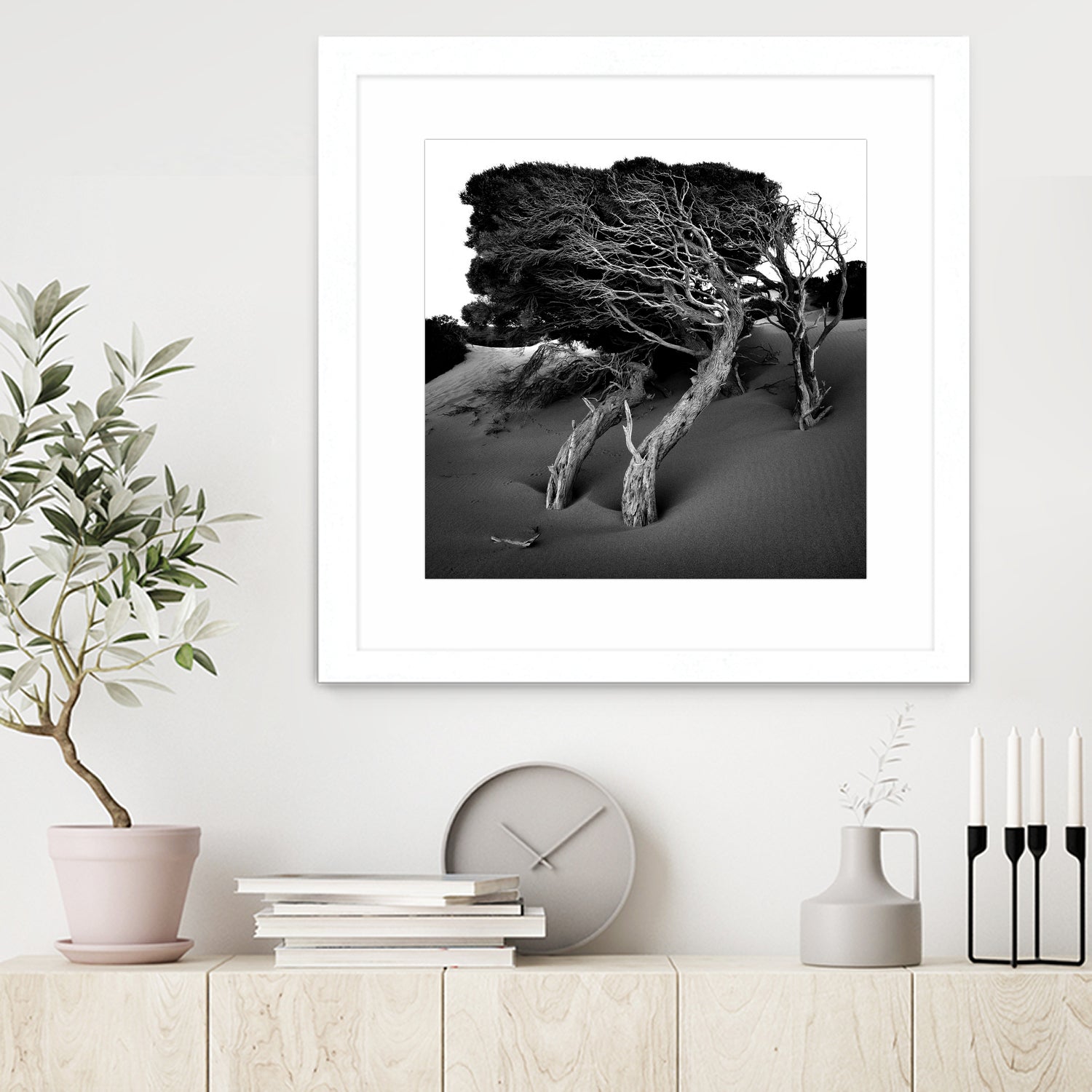 Windswept Tree by Injidup Western Australia on GIANT ART - black and white mark