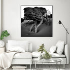 Windswept Tree by Injidup Western Australia on GIANT ART - black and white mark