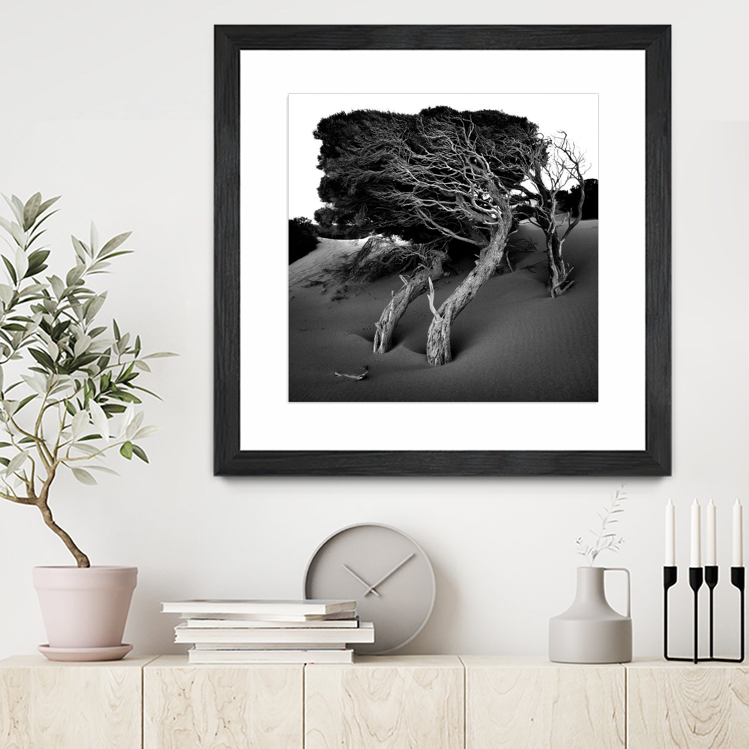 Windswept Tree by Injidup Western Australia on GIANT ART - black and white mark