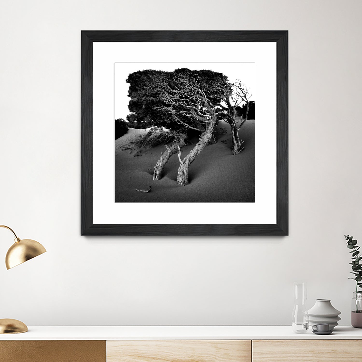 Windswept Tree by Injidup Western Australia on GIANT ART - black and white mark