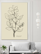 Floral 1 by Dan Hobday on GIANT ART - flowers and plants sketch