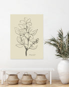 Floral 1 by Dan Hobday on GIANT ART - flowers and plants sketch