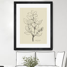 Floral 1 by Dan Hobday on GIANT ART - flowers and plants sketch