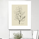 Floral 1 by Dan Hobday on GIANT ART - flowers and plants sketch