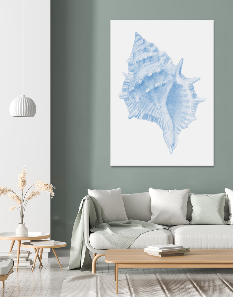 One Blue Conch by Jolly on GIANT ART - illustration animal