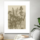 Misty Meadow. Abstract Botanical Art No.10 by Dina Dankers on GIANT ART - 5000 illustration