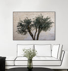 Olive Trees by Photolovers on GIANT ART - landscape plant