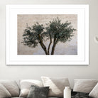 Olive Trees by Photolovers on GIANT ART - landscape plant