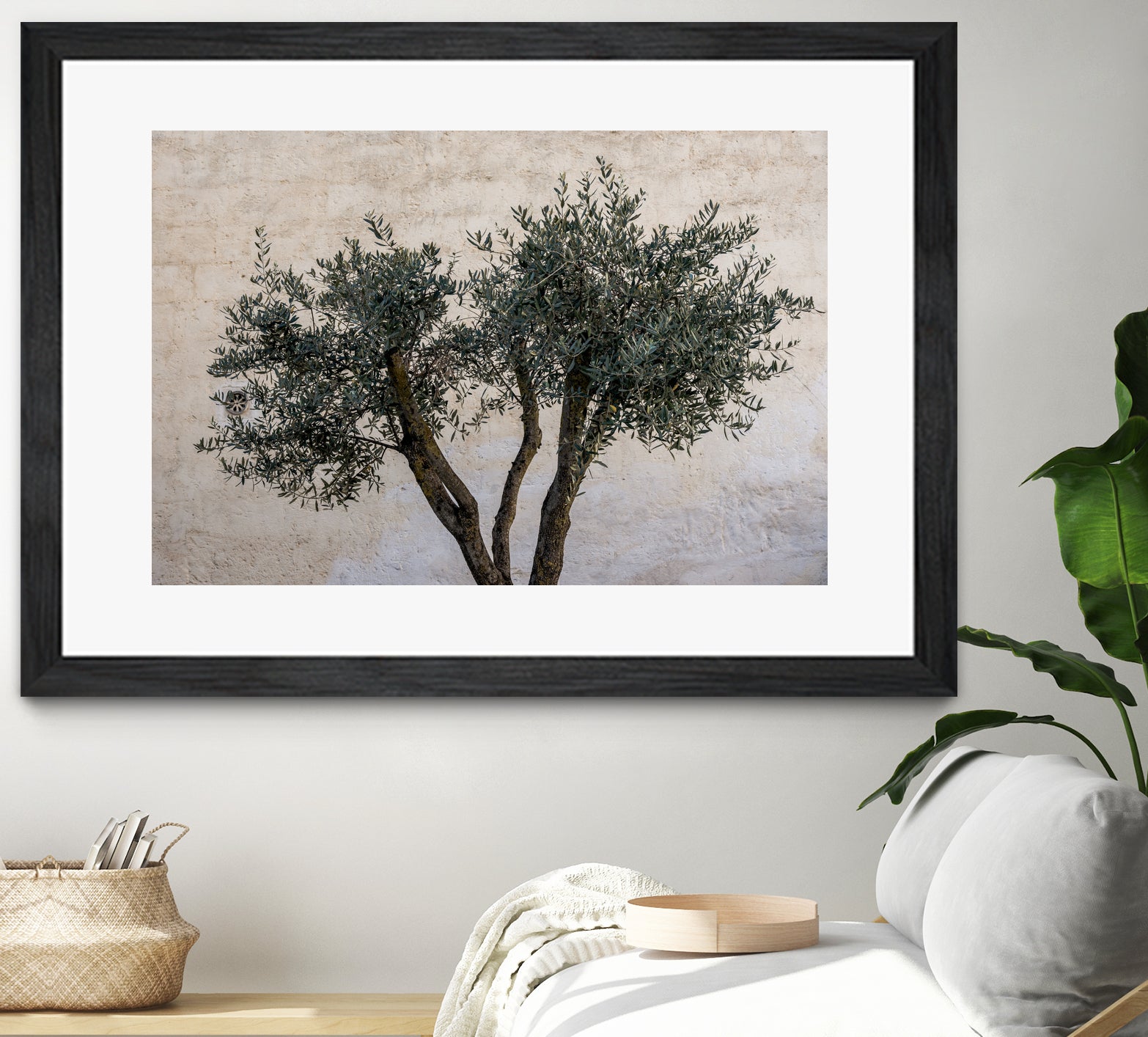 Olive Trees by Photolovers on GIANT ART - landscape plant